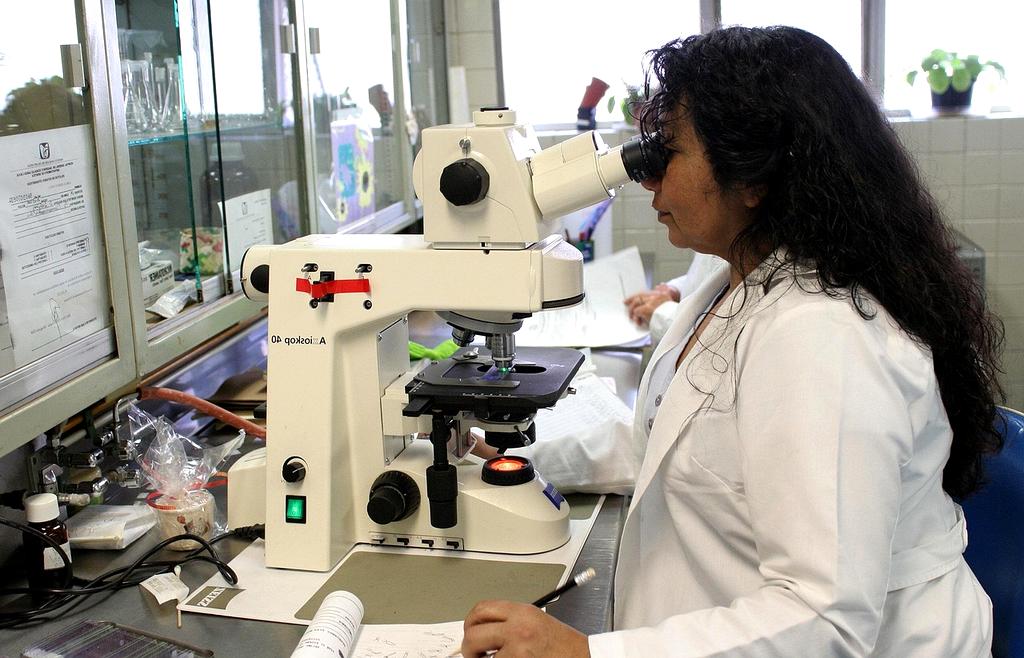 Medical research laboratory with scientists studying neural interface technology and brain scan monitors