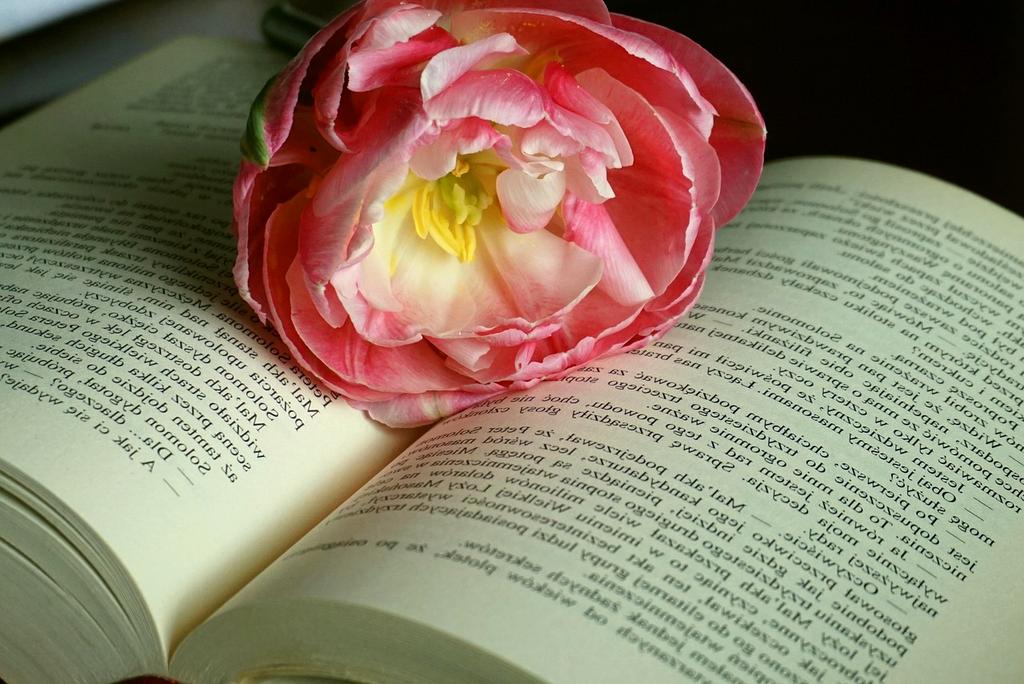 Technical manual with detailed diagrams and annotations